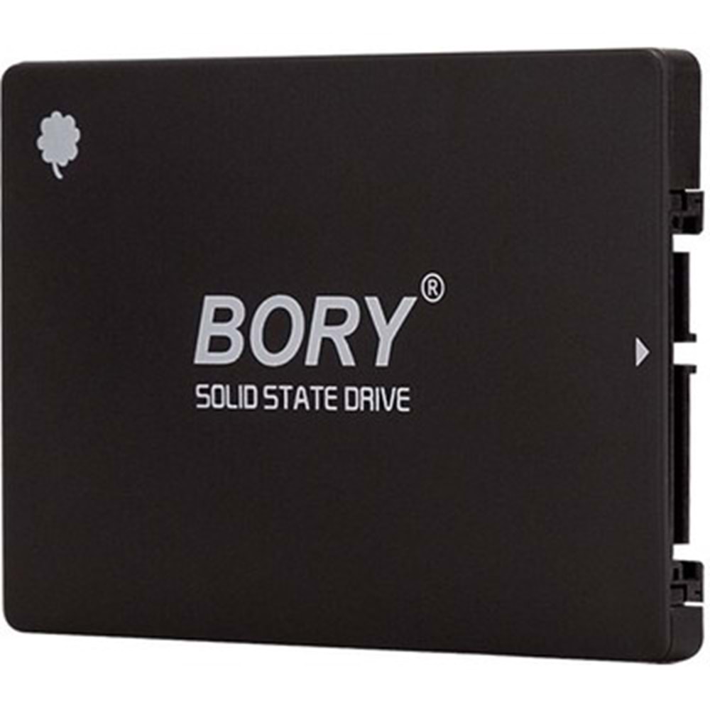 BORY 256 GB 2.5 INCH SSD 550/510 MBS