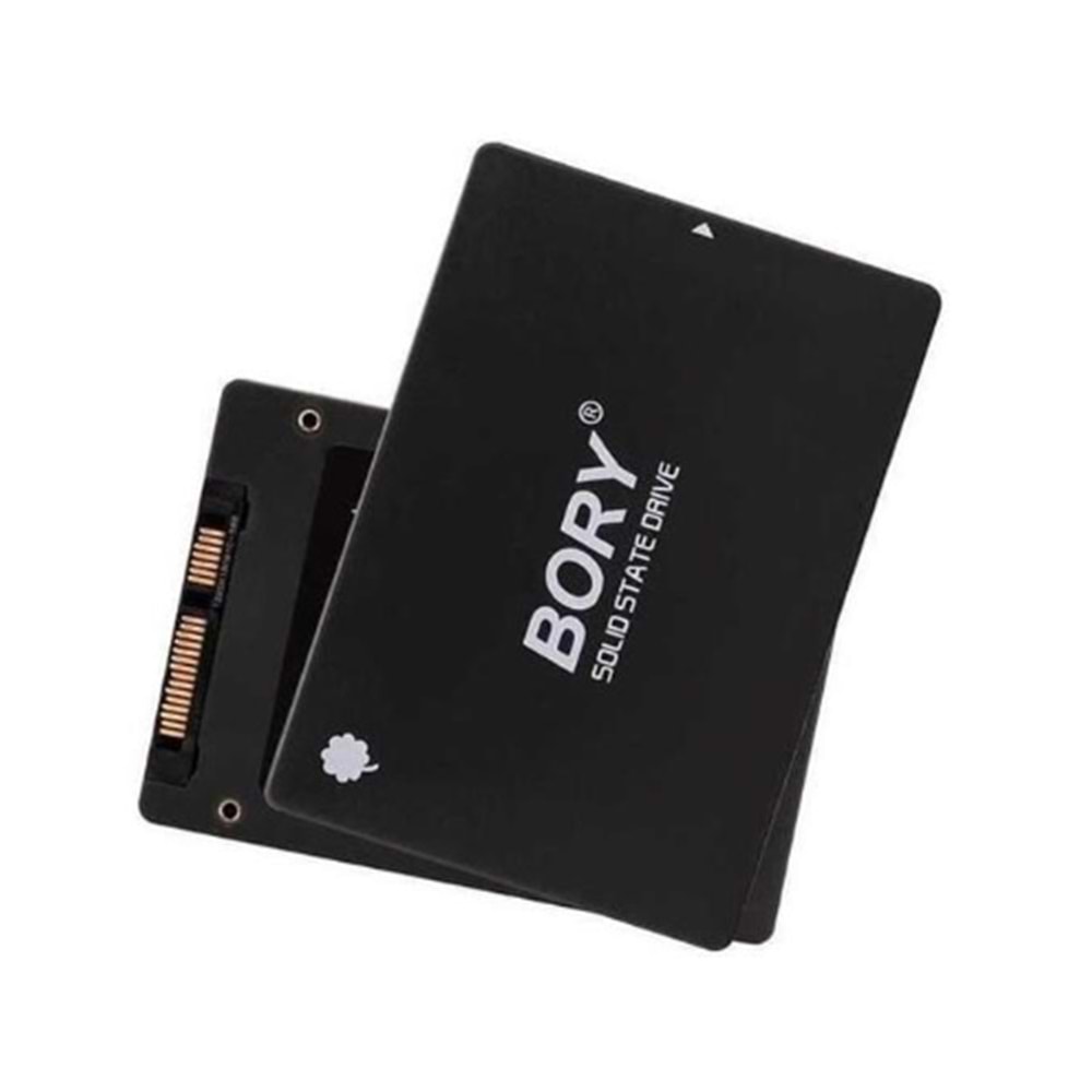 BORY 256 GB 2.5 INCH SSD 550/510 MBS