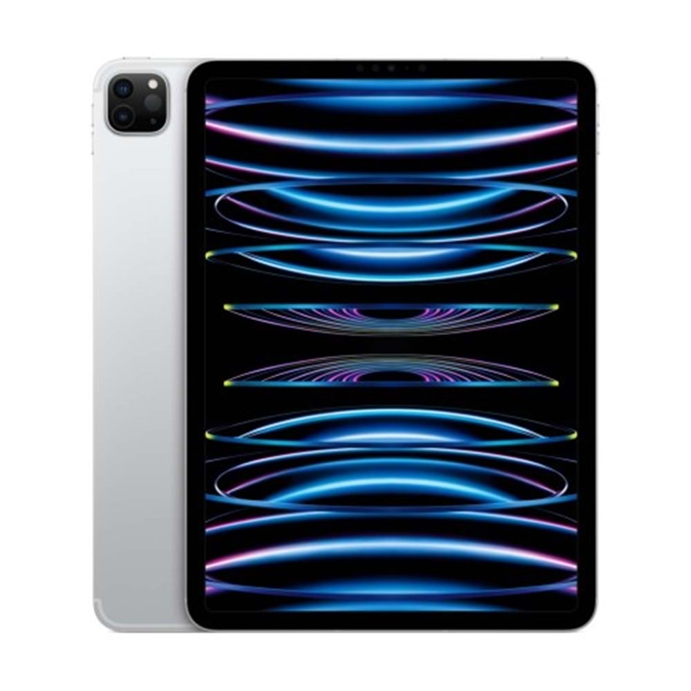IPAD PRO M4 WIFI 256 GB 11 INCH