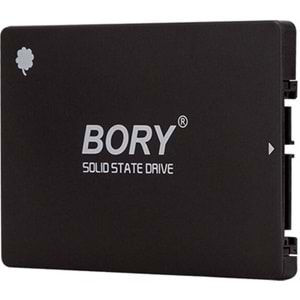 BORY 256 GB 2.5 INCH SSD 550/510 MBS