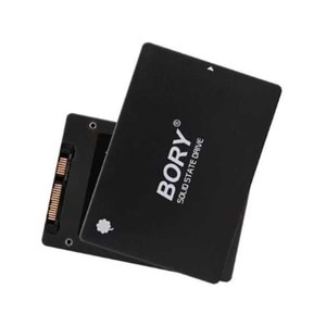 BORY 256 GB 2.5 INCH SSD 550/510 MBS