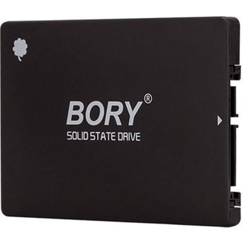 BORY 256 GB 2.5 INCH SSD 550/510 MBS