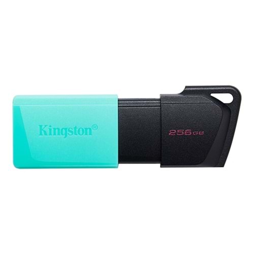 KINGSTON 256 GB USB 3.2