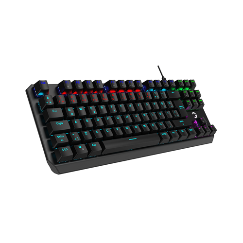 GAMEPOWER OVERLORD RED SWITCH 60M MEKANİK OYUNCU KLAVYE