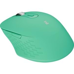 EVEREST SM-BT09 USB YEŞİL 2İN1 BLUETOOTH VE2.4 GHZ KABLOSUZ MOUSE