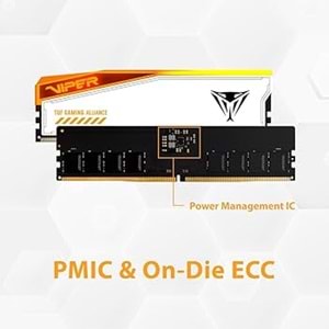 Patrıot Vıper Elıte 5RGB TUF 48GB (2x24GB) DDR5 6000MHZ CL36 GAMING RAM